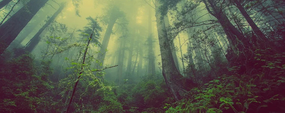 larcenter-gestion-ambiental-respeto-medio-ambiente